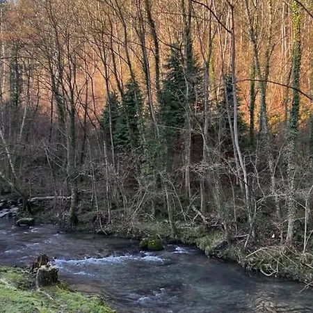 Haraneko Errota Burdindegi